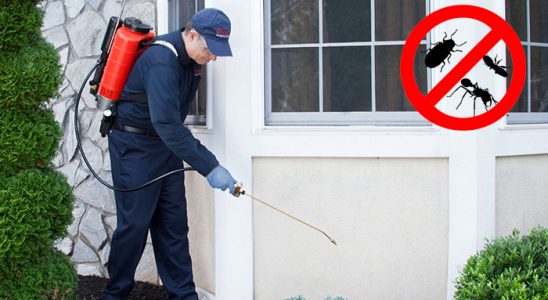 Aşkale Hamam Böceği İlaçlama böcek ilaçlama ve haşere kontrolü — ilaclama-tr.com